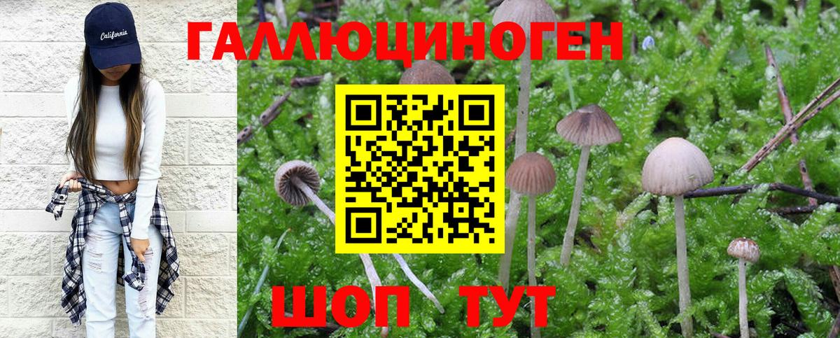 Галлюциногенные грибы прущие грибы  Псилоцибиновые грибы Psilocybe  Вход с VPN  Верхняя Салда 